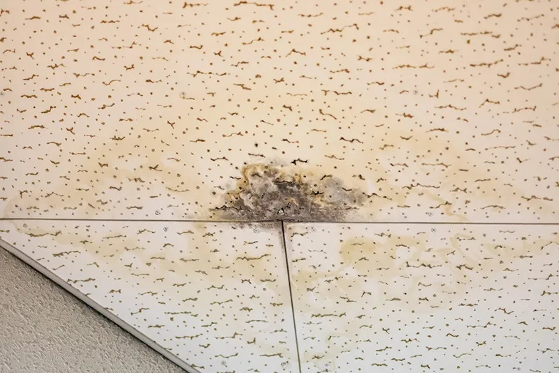 天井にシミなどを発見した際には要注意