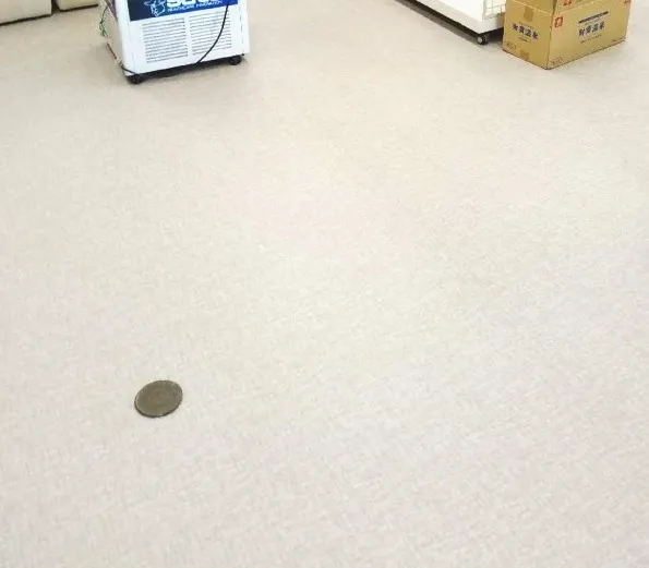 20250421113903.jpg